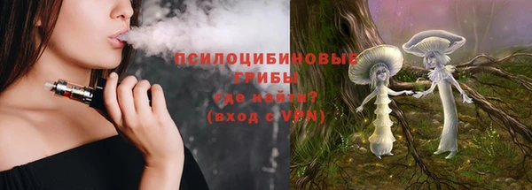 соль курить ск Ладушкин