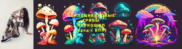 соль курить ск Ладушкин