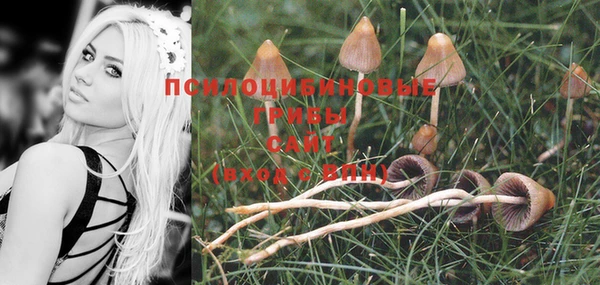 мяу мяу кристалл Лабытнанги