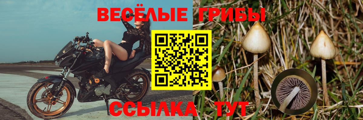 Псилоцибиновые грибы MAGIC MUSHROOMS  Вход с VPN  Стрежевой  Галлюциногенные грибы мицелий 
